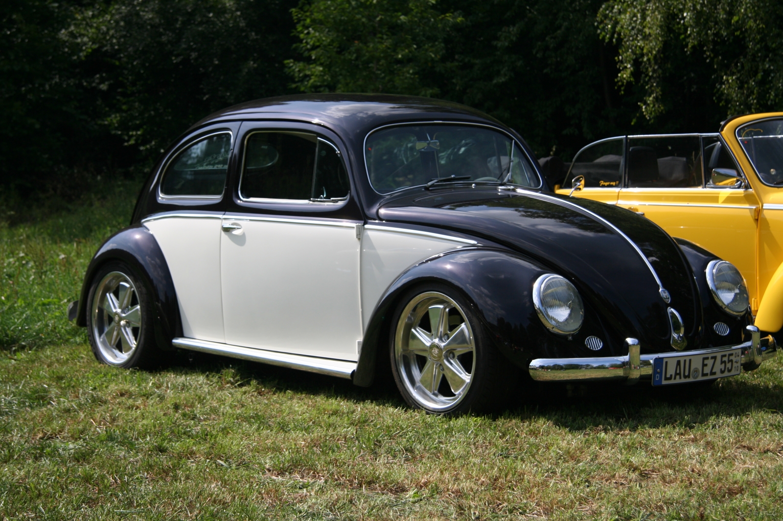 VW Kaefer