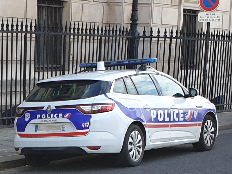 Renault Megane Kombi Polizei