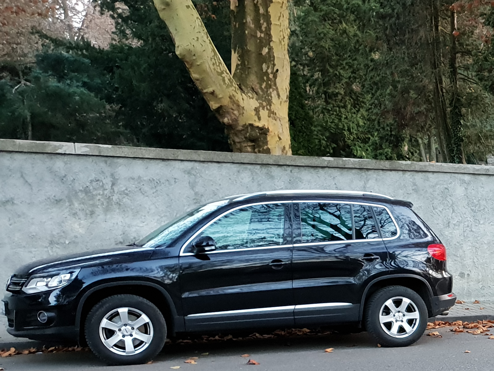 VW Tiguan