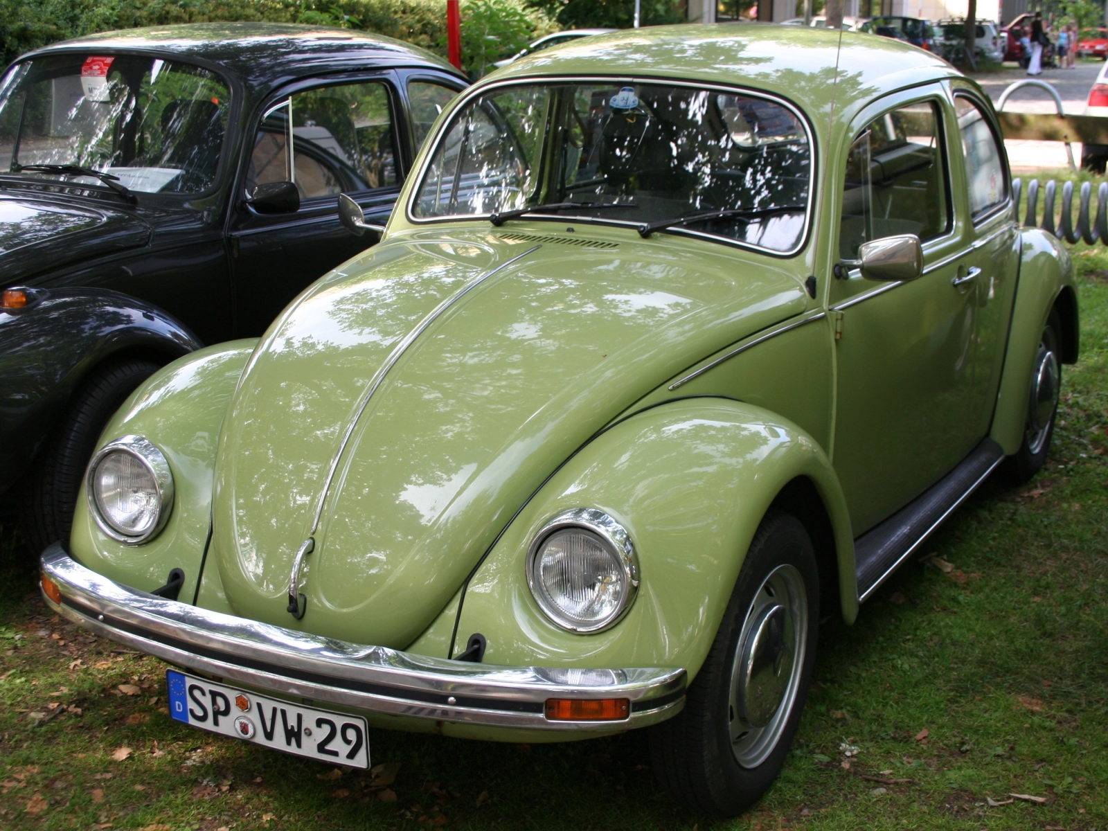 VW Kaefer