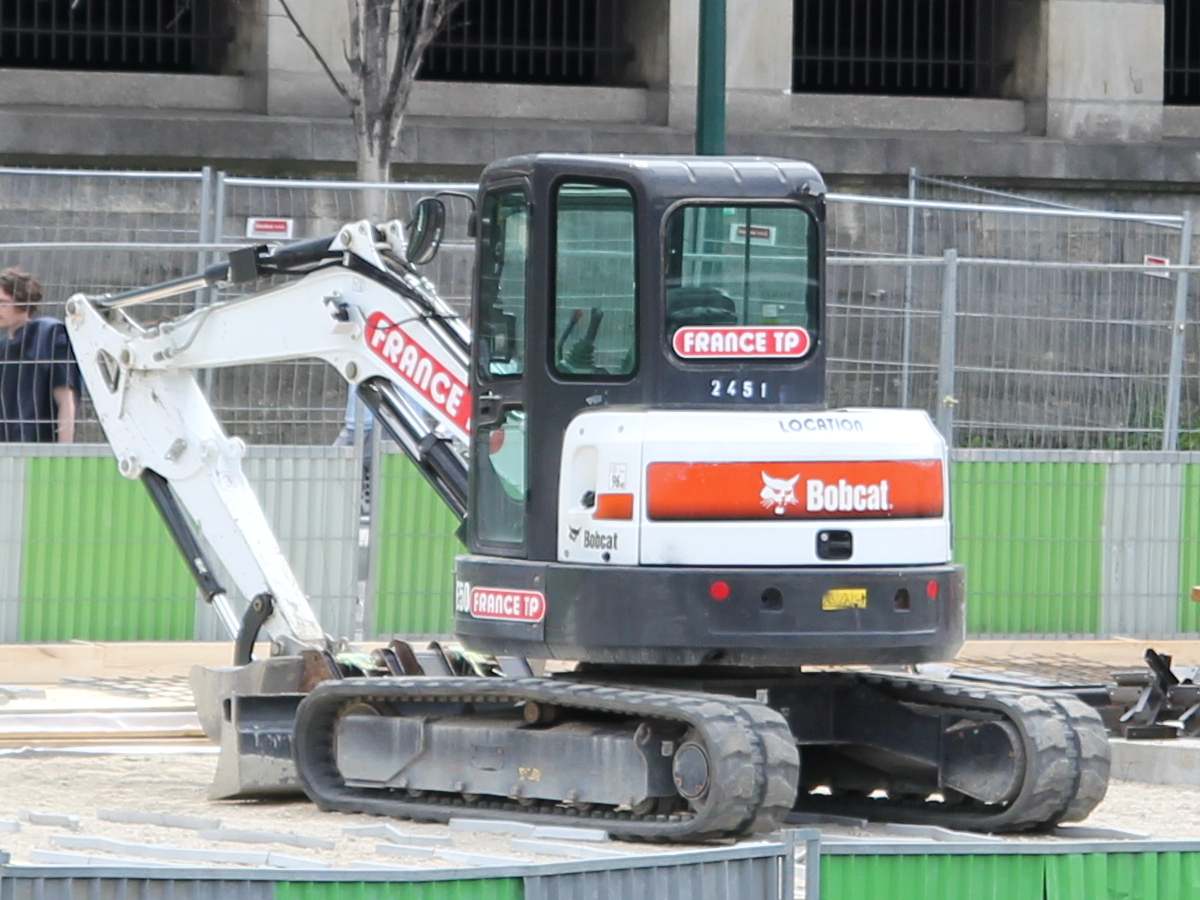 Bobcat