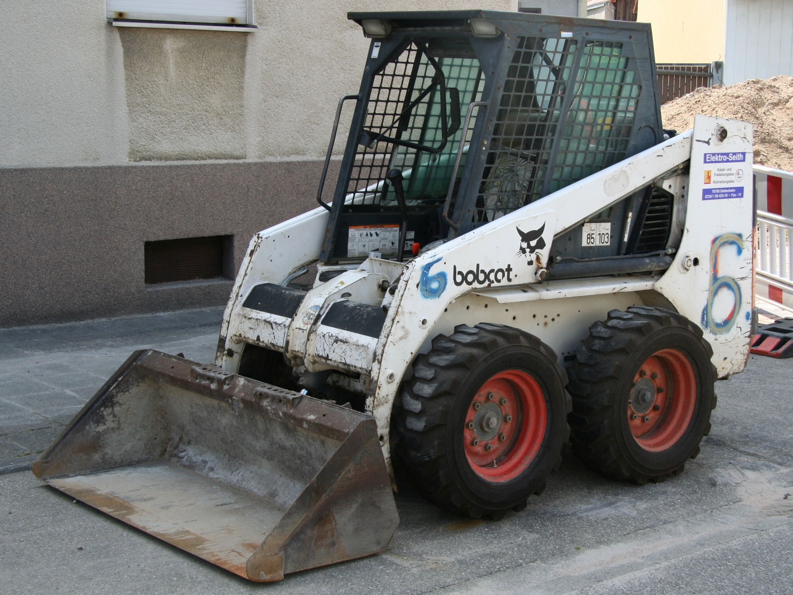 Bobcat